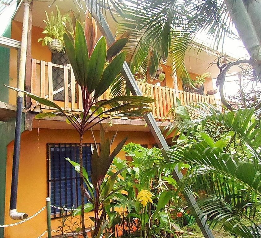 Cabinas El Muellecito Hotel Tortuguero Kültér fotó