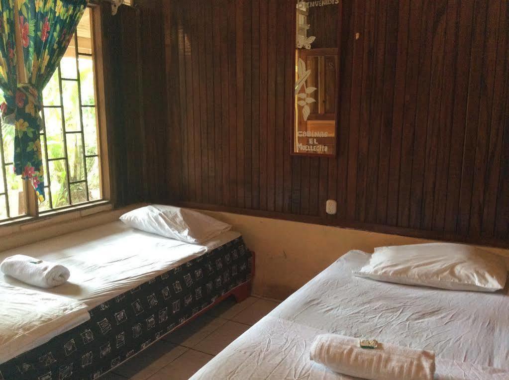 Cabinas El Muellecito Hotel Tortuguero Kültér fotó